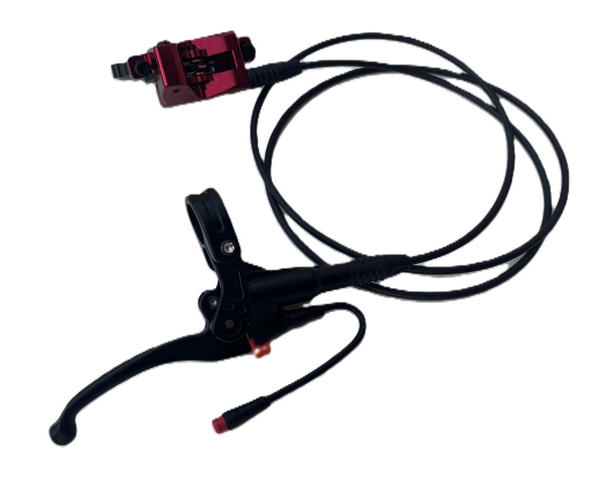 Left Rear Brake Resivour and Handle