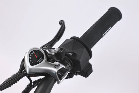 F3.3 – view 3