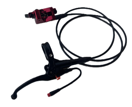 Left Rear Brake Resivour and Handle