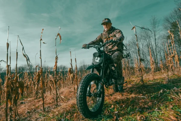 WhiteTail Edge scroll 2 WhiteTail Edge scroll 2