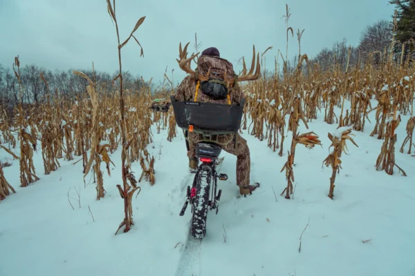 WhiteTail Edge scroll 8 WhiteTail Edge scroll 8