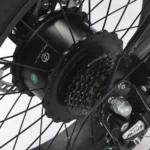 F3 Class 2 Hentach Motor 750 W